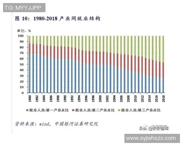 姚明织带项目进展报告及未来发展方向分析