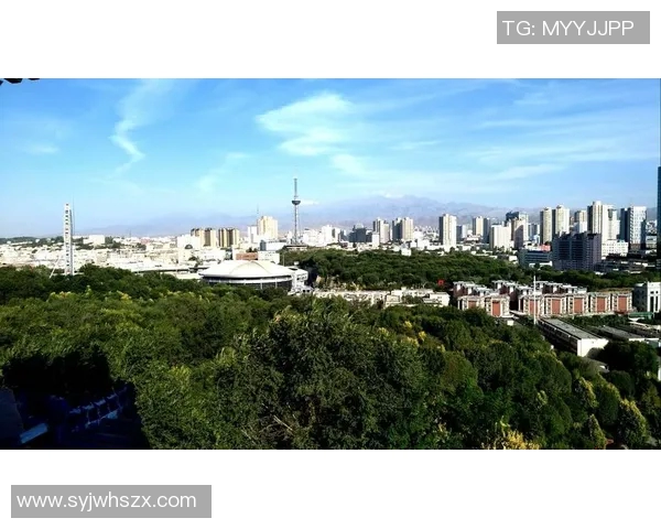 姚明畅游迪拜探秘奢华之都感受异域风情与文化魅力