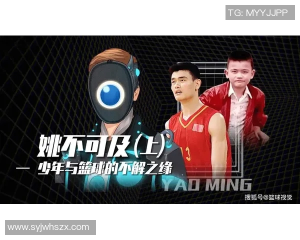 姚明猫叔的篮球之路与人生哲学探讨