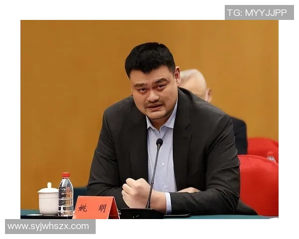 姚明在国际舞台上的收入揭秘及其对篮球事业的影响分析